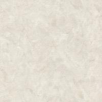 90035 Обои Zambaiti (Lamborghini II) (1*6) 10,05x0,70 винил на флизелине