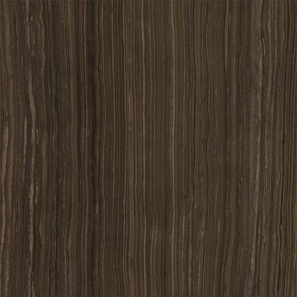 Керамогранит Xlight Premium Mocca Dark Polished (6 мм) (C221101801) 120x120 от XLight (Испания)