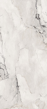 Керамогранит Aesthetica AE CAM6 278 LPM (AECAM6278LPM) 120x278 от La Faenza (Италия)