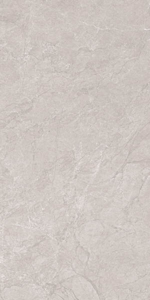 Керамогранит Stone Aristo Grey Tm (N20555) 60x120 от Neodom (Индия)