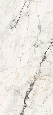 Керамогранит Aesthetica AE PAO6 260 LP 120x260 от La Faenza (Италия)