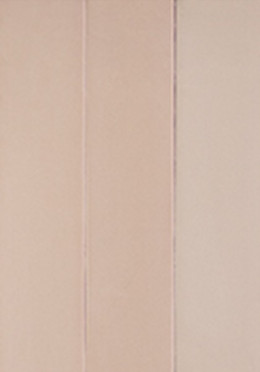 Настенная плитка CANDY PINK (128390) 5x20 от DNA Tiles (Испания)