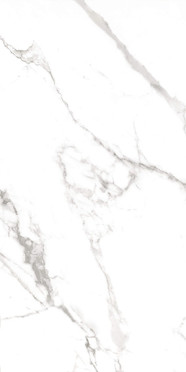 Керамогранит STATUARIO PLUS SILK 60x120 от A-Ceramica (Индия)