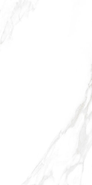 Керамогранит Carrara Excellent Silver белый Матовый 60x120 от Ceradim (Индия)
