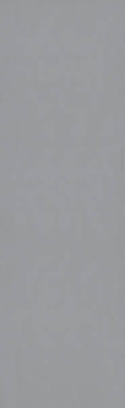 Керамогранит Microcement серый никель (C2686) 80x260 от Moreroom (Китай)