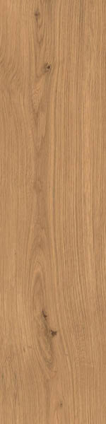 Керамогранит Log Amber Oak Forest 20mm (AX4C) 30x120 от Atlas Concorde (Италия)