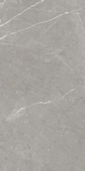 Керамогранит RHAPSODY ALLURE RHAPS.LEV/RETT.(117438) 60x120 от Naxos Ceramica (Италия)