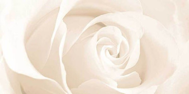 Вставка Effecta бежевая (EC2L011D) 29.7x60 от Cersanit (Россия)