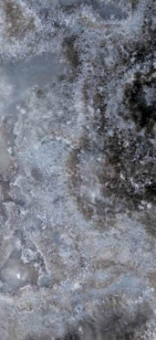 Керамогранит SERENADE ASTRAL RET+LEV 260 120x260 от Naxos Ceramica (Италия)