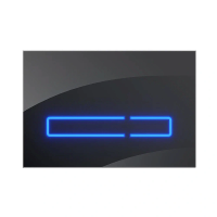 Кнопка смыва AM.PM Touch Pro I0450A38 черный