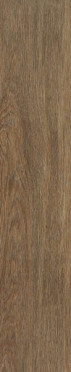 Керамогранит Tacora Brown Matt Rectt 22.7x119.5 от STN Ceramica (Stylnul) (Испания)