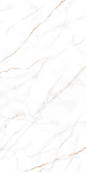 Керамогранит Neo Calacatta (GFU60120NCL04R) матовый 60x120x0.85 от Alma Ceramica (Россия)