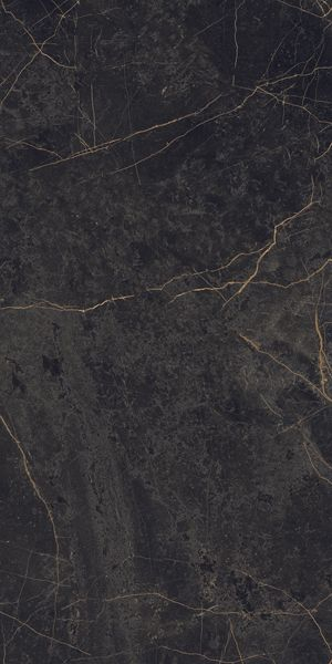 Керамогранит EPOQUE BLACK LAP (PF60004299) 60x120 от Ariana (Италия)