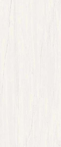 Настенная плитка Marvel Bianco Dolomite (A4S4) 50x120 от Atlas Concorde (Италия)