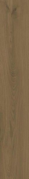 Керамогранит Entice Browned Oak Natural (A84Z) 20x120 от Atlas Concorde (Италия)