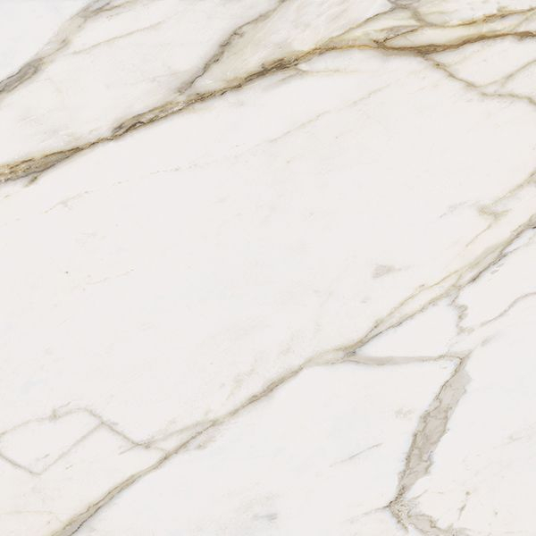 Керамогранит Charme Evo CALACATTA RET 80 80x80 от Italon (Россия)