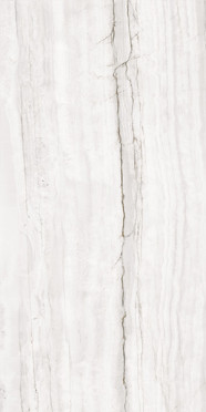 Керамогранит Elemento 17543 светло-серый ректификат 60x120 от Mei (Германия)