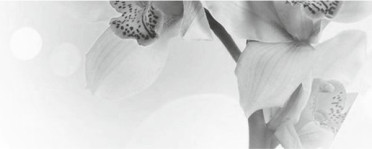 Панно Элегия 7 тип-4 20x50 от Керамин (Беларусь)