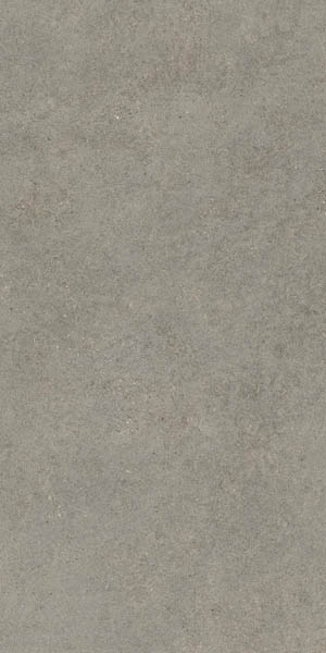 Керамогранит FORTE DEI MARMI ROCK Lunar Gr. LASTRA 20mm (600010002436) 60x120 от Atlas Concorde (Россия)