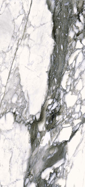 Керамогранит THE WILD SPIRIT CAL.RENOIR LX RT (0500867) 59.6x119.2 от Roberto Cavalli (Италия)