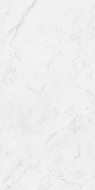 Керамогранит Classic Marble Carrara Antique Polished (N12033) 60x120 60x120 от Neodom (Индия)