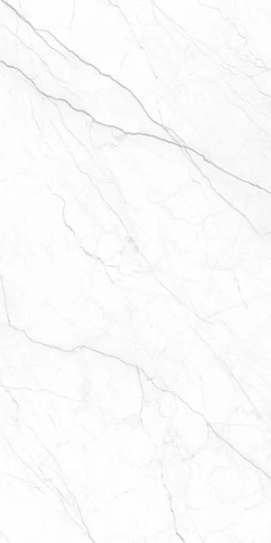 Керамогранит Royal Infinite White 60x120 от Velsaa (Индия)