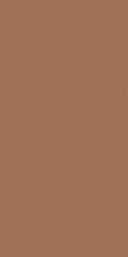 Настенная плитка MONTMARTRE TERRE Rect 60x120 от Baldocer (Испания)