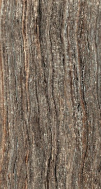 Керамогранит Epos Grey (610010002167) 60x120 от Atlas Concorde (Россия)