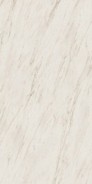 Керамогранит Marvel Cremo Delicato Lappato (AY2Q) 120x240 от Atlas Concorde (Италия)