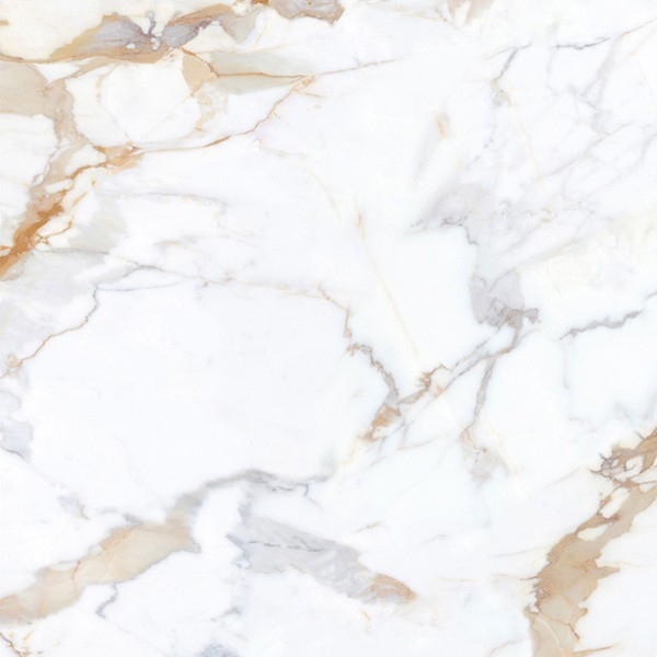 Керамогранит Calacatta Gold Matt (6мм) (MN034AY261206 (120х120)) 120x120 от Moreroom (Китай)