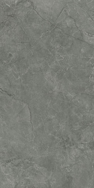 Керамогранит Pluto Grigio серый (SG50005320R) матовый 59.5x119.1 от Laparet