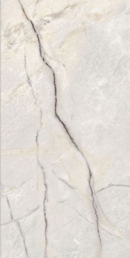 Керамогранит EPOQUE 21 LILAC WHITE ANT R (PF60009343) 60x120 от Ariana (Италия)