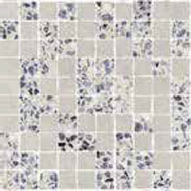 Мозаика ORANGERIE SPACC. BOBOLI+BORGHESE (132348) 30x30 от Naxos Ceramica (Италия)