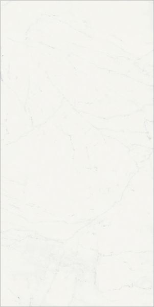 Керамогранит CHA.DEL.B.MICHEL. RET (610010001920) 80x160 от Italon (Россия)