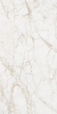 Керамогранит MARMO Impero Grey Carving (NTT99519M) 60x120 от NT Ceramic (Индия)