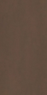 Керамогранит Corten Matt (6 мм) (MN676CY261206) 120x260 от Moreroom (Китай)