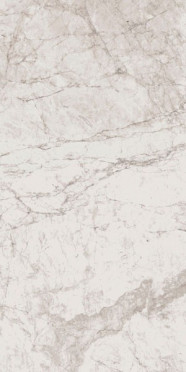 Керамогранит CONTACT STONE WHITE MOL.RET. MOLATO RETTIFICATO (129197) 60x120 от Century (Италия)