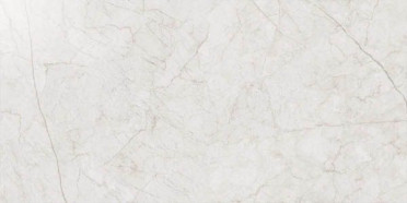 Керамогранит CONTEMPORA PURE (10мм) пат/ретт 30 30x60 от Italon (Россия)