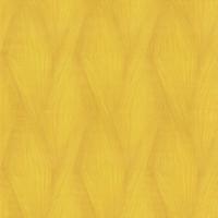 90049 Обои Zambaiti (Lamborghini II) (1*6) 10,05x0,70 винил на флизелине