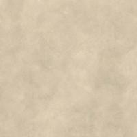 Керамогранит Boost Expression Tan (AYVQ) 60x60 от Atlas Concorde (Италия)