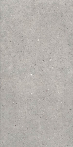 Керамогранит Cement Stone Grey 60x120 от Sanchis Home (Испания)