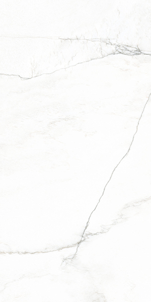 Керамогранит LAB BIANCO MARE 60x120 от Prissmacer (Испания)