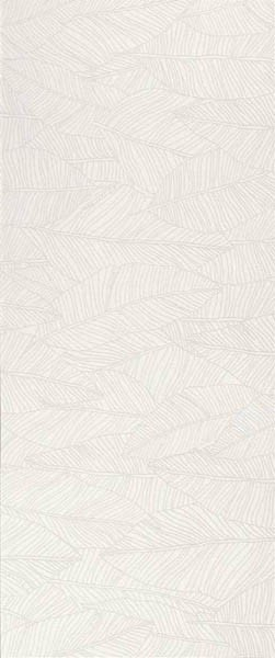 Настенная плитка Aplomb White Leaf (A6FC) 50x120 от Atlas Concorde (Италия)