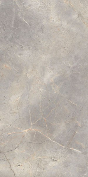 Керамогранит CONTACT MYSTIC NAT.RET. (129202) 60x120 от Century (Италия)