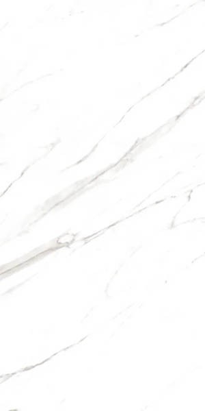 Керамогранит Marble Super Satvario 60x120 от Artcer (Индия)