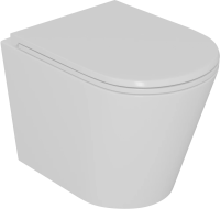 Унитаз подвесной с сиденьем микролифт D&K Venice DT1026016 безободковый
