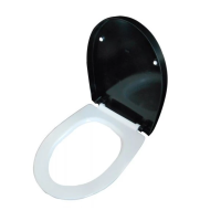 Сиденье для унитаза с крышкой с микролифтом Roca Victoria Nord ZRU9302627