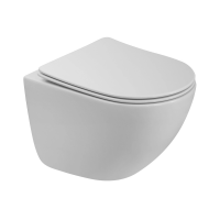 Унитаз подвесной BelBagno Amanda BB051CH-TOR-FC безободковый