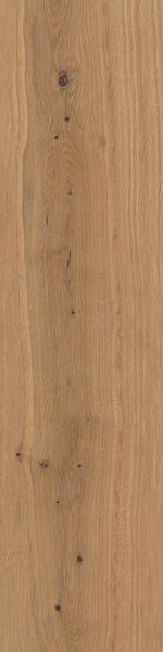 Керамогранит Log Deep Oak Forest 20mm (AX4D) 30x120 от Atlas Concorde (Италия)