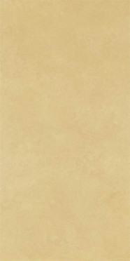 Керамогранит RETINA Rtn6Senap12Rm 60x120 от Imola Ceramica (Италия)